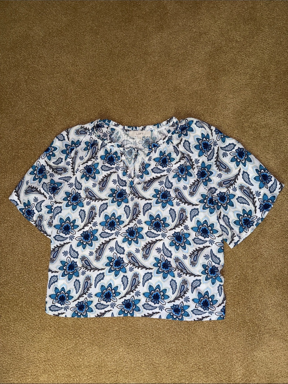 Short Sleeve Blue and White Loft Blouse